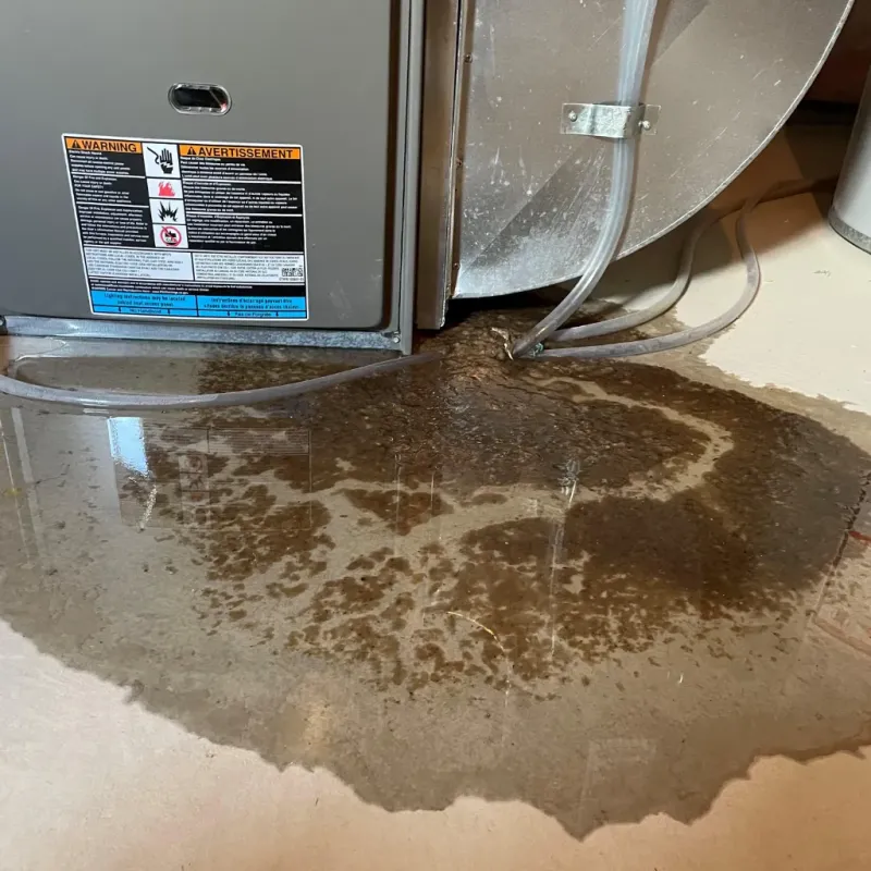 Appliance Leak Cleanup in Effingham, NH